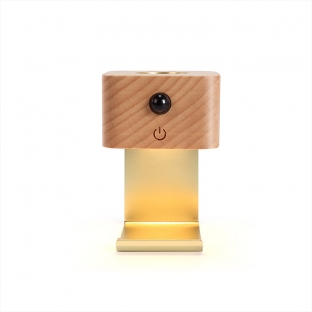 Motion Sensor Night Light with Desktop Wall Mounted Essential Oil Diffuser Perfect for Bedroom Car Romantic Gift for Chr