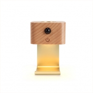 Motion Sensor Night Light with Desktop W...